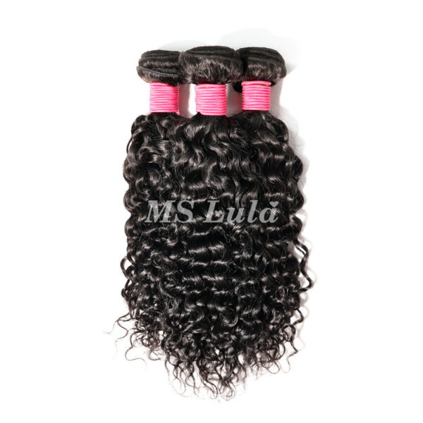 9A Water Wave Curly Human Hair Bundles - Image 7